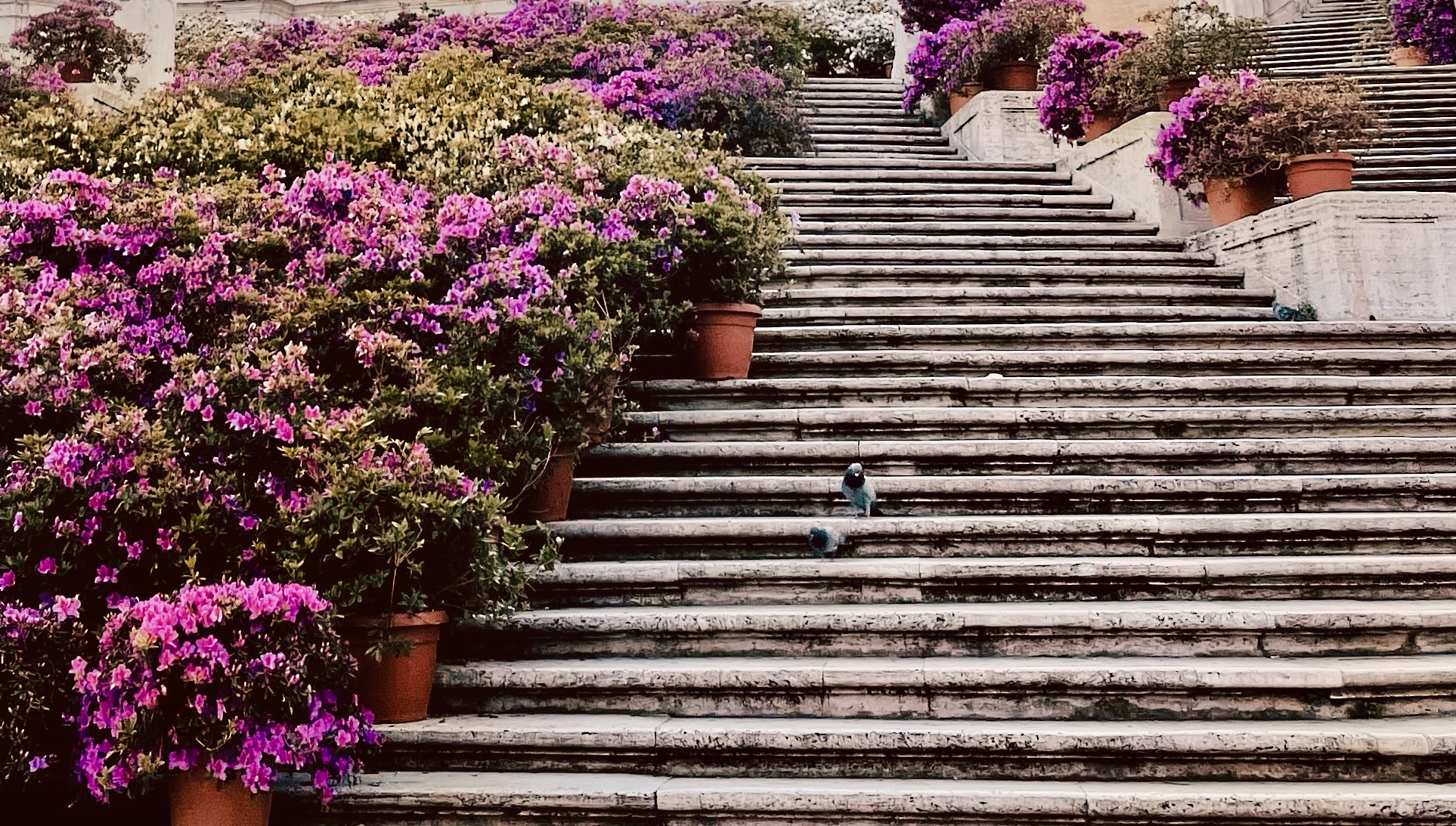 Spanyol lépcső